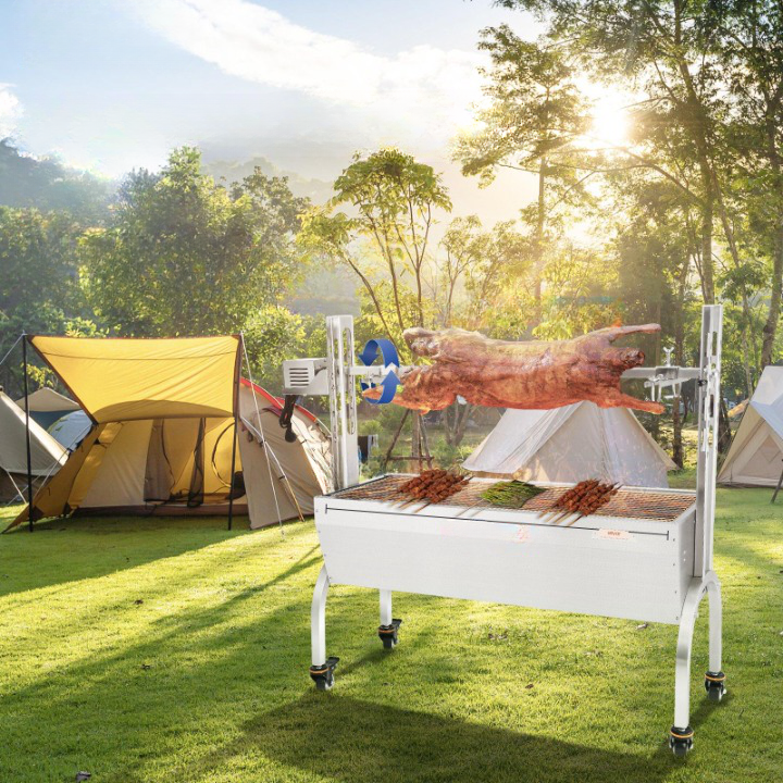 Tournebroche Électrique Charge 41 kg